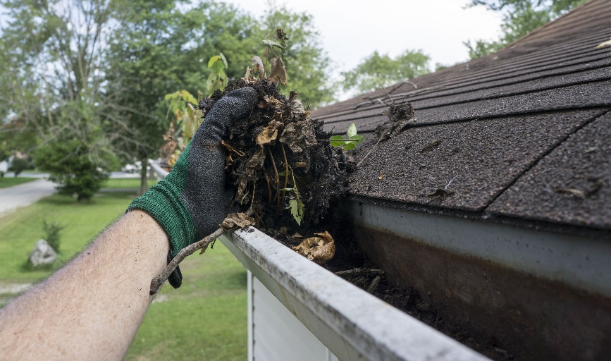 Apex Exterior Cleaning 